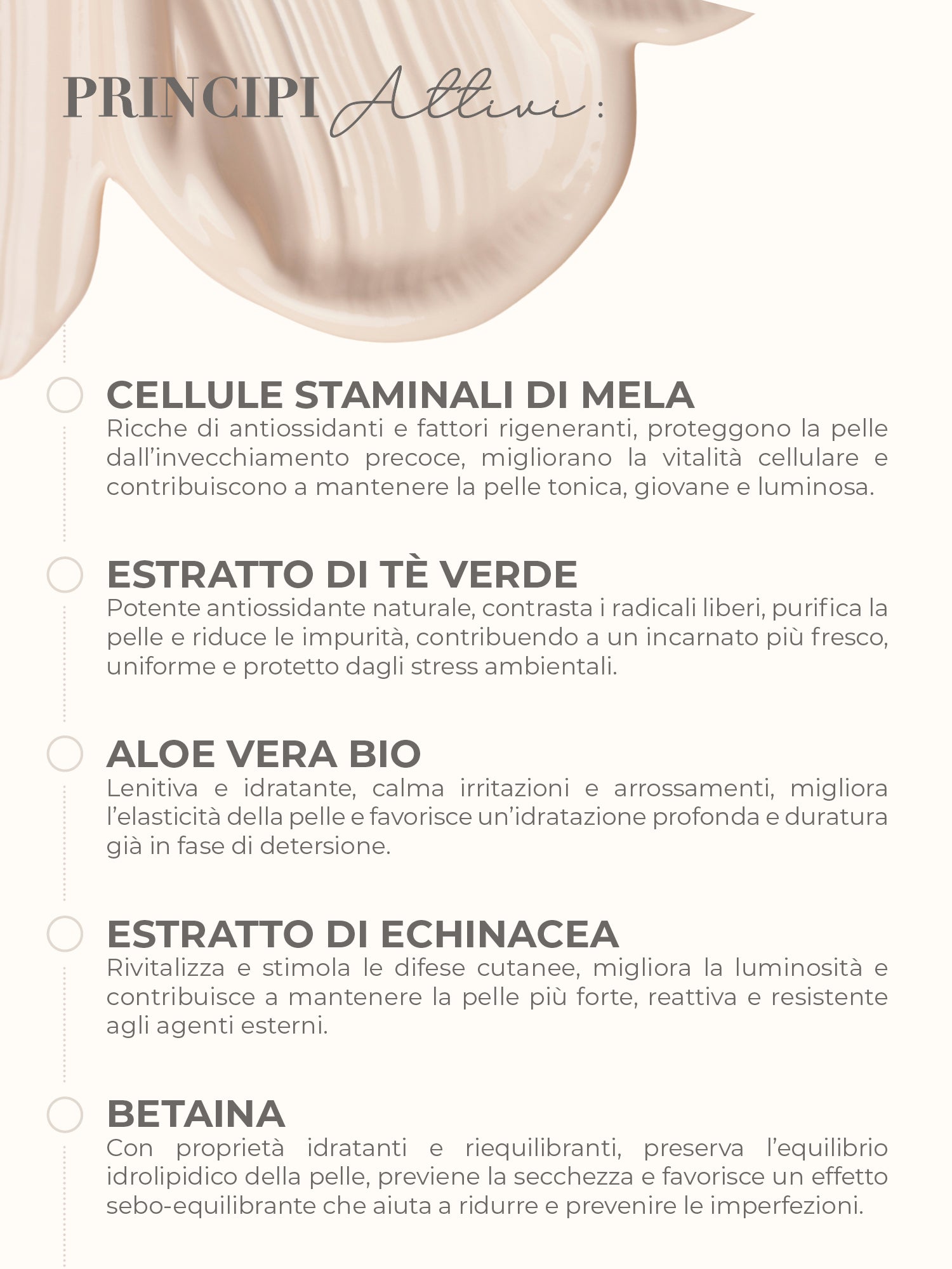 Mousse Detergente Mousseyor